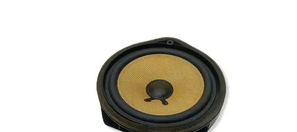 Honda Civic IX Rear door speaker 