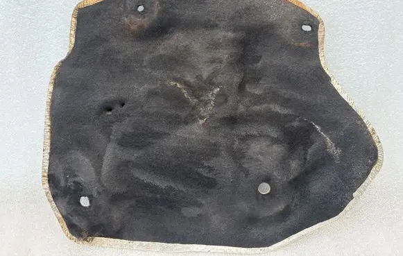 Exhaust heat shield