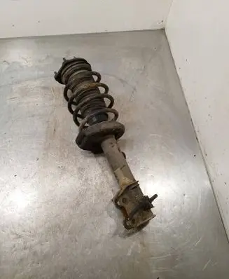 Fiat Doblo Front shock absorber with coil spring 824903008433
