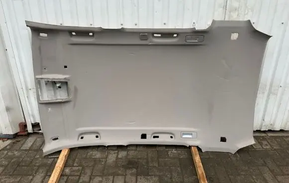 BMW X3 F25 Headlining 65326531