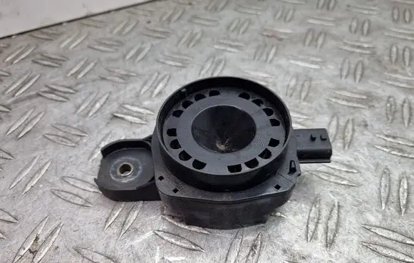 Renault Scenic III - Grand scenic III Alarm system siren 256400001R 30100187