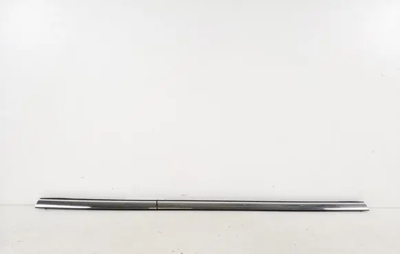 Ford Fiesta Rear door trim (molding)