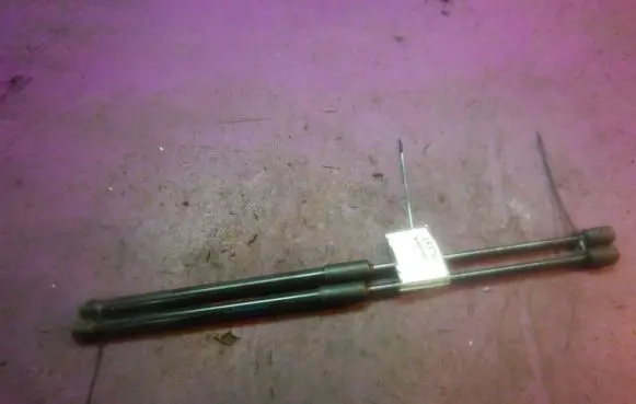 Tailgate strut