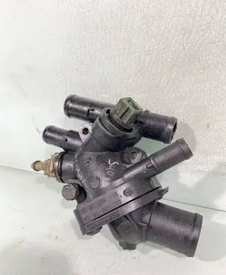Thermostat/thermostat housing