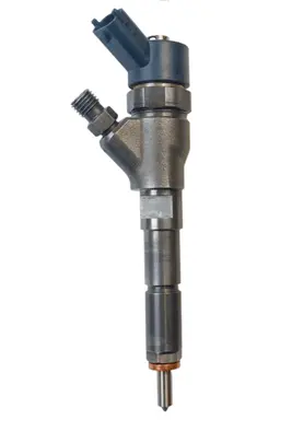 Citroen Jumper Fuel injector 0445110076 0986435077