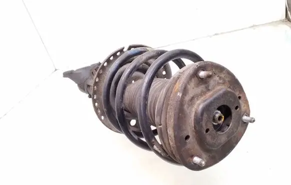 Mercedes-Benz SLK R171 Front shock absorber with coil spring