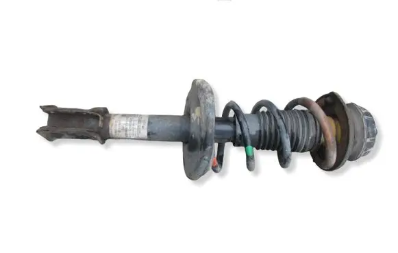 Dacia Lodgy Front shock absorber with coil spring 543028447