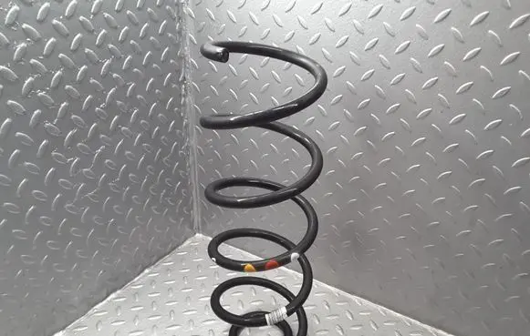 Citroen Berlingo Rear coil spring 9824895380