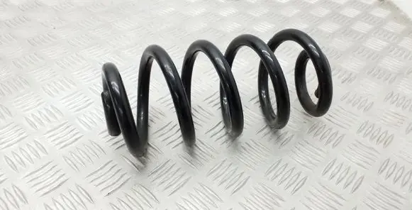 Seat Exeo (3R) Rear coil spring