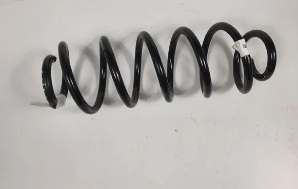 Rear coil spring