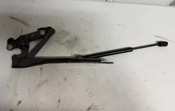 Dodge Challenger Engine bonnet/hood hinges 254ZFD4M 264AK 214VYN4M