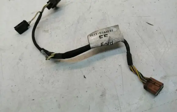 Front door wiring loom