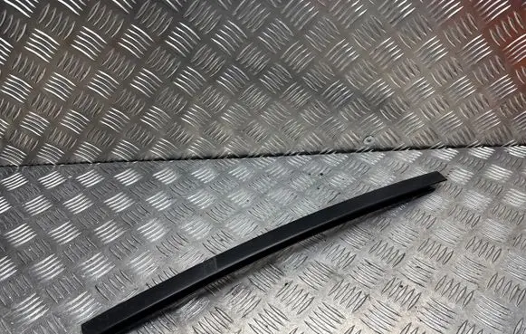 BMW X1 E84 Rear door windshield rail 