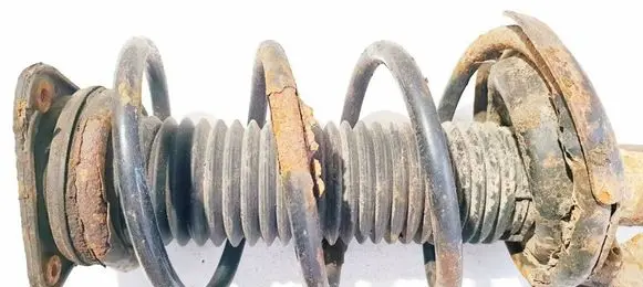 Volvo C30 Front coil spring 