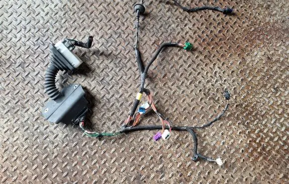 Front door wiring loom