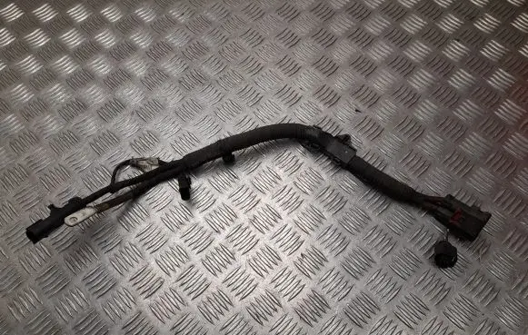 Audi A4 S4 B9 Other wiring loom 8W2971111