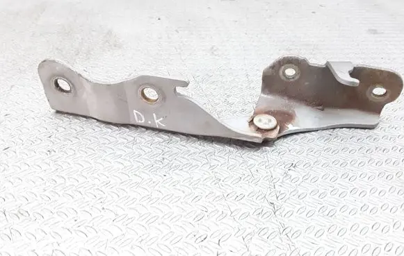 Hyundai Terracan Engine bonnet/hood hinges