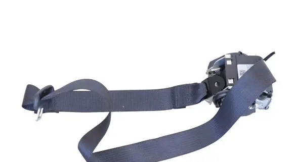 Tesla Model 3 Rear seatbelt 1110154C1G
