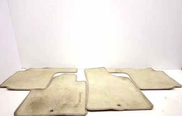 Hyundai Santa Fe Car floor mat set 