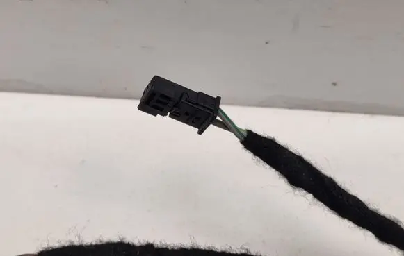 Rear door wiring loom