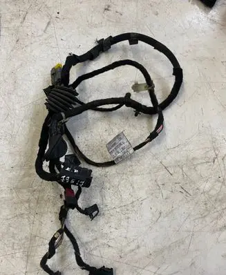 Front door wiring loom