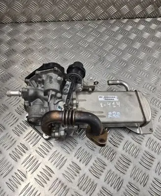 EGR valve cooler