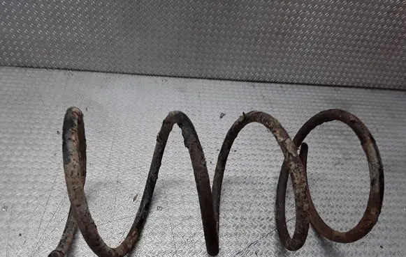 Front coil spring