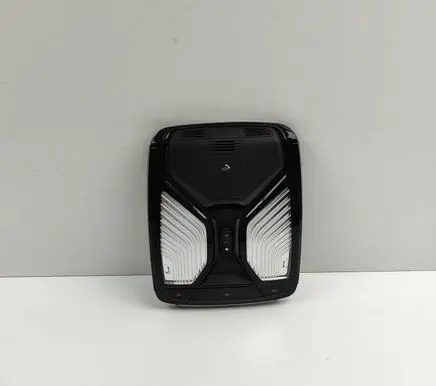BMW X5 G05 Front seat light 5A25179