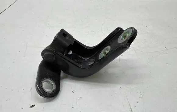 KIA Niro Rear door lower hinge