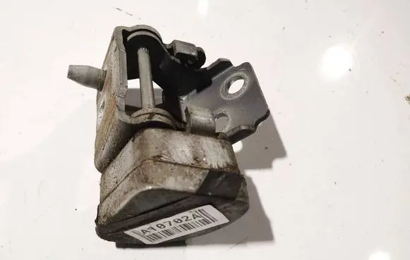 Citroen C5 Rear door lower hinge