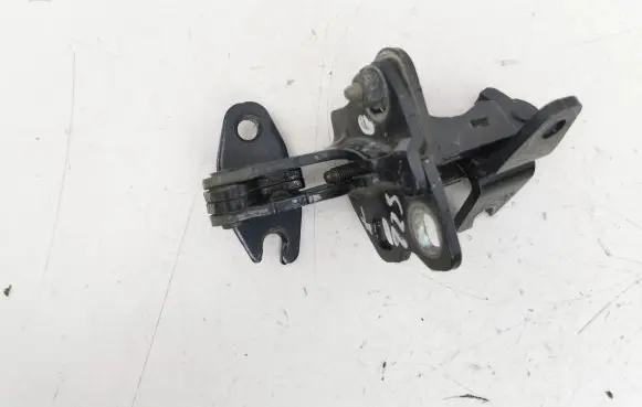 Tesla Model 3 Rear door hinge set 