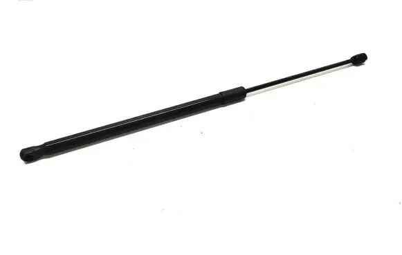 Tailgate strut