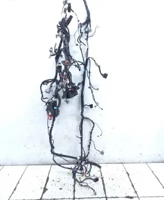 Other wiring loom