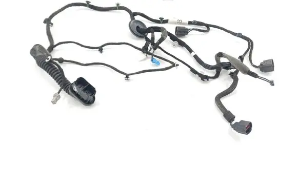 Rear door wiring loom