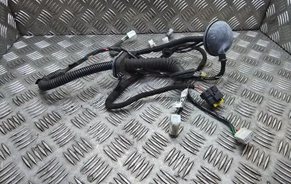 Nissan Qashqai+2 Front door wiring loom 24125JD06C