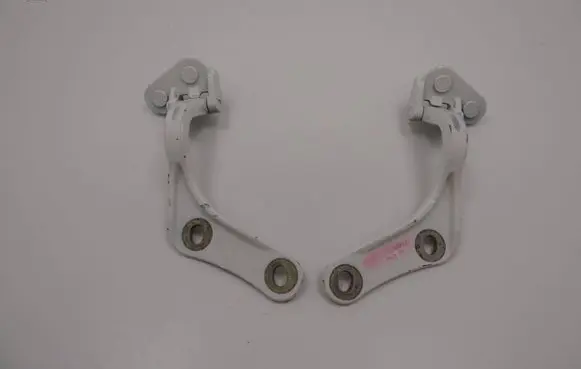 Tailgate/trunk/boot hinge