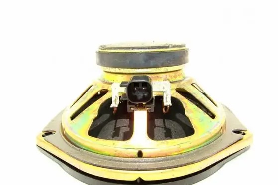Ford Fiesta Rear door speaker