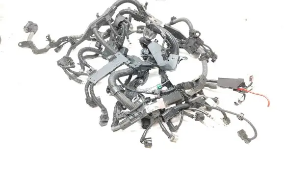Engine installation wiring loom