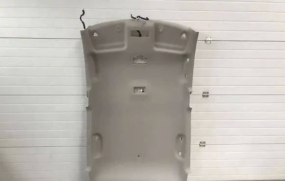 Nissan Leaf II (ZE1) Headlining 739105SJ0E 572168451 9542882