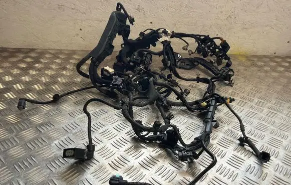 Mercedes-Benz B W247 Wiring harness A6541501906