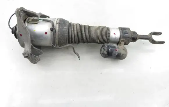 Volkswagen Phaeton Front shock absorber/damper 58SKV077