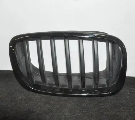 BMW X6 E71 Front grill 7171396