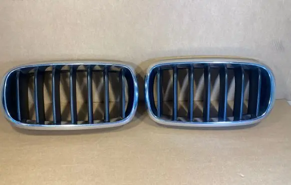 BMW X5 F15 Front bumper upper radiator grill 7316076