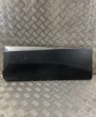 Rear door trim (molding)