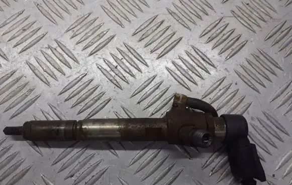 Renault Megane II Fuel injector