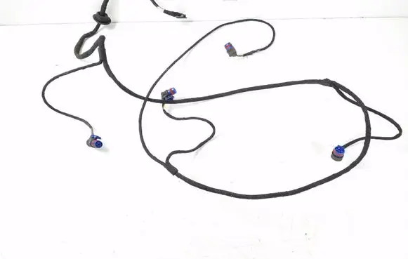 Mercedes-Benz S W220 Parking sensor (PDC) wiring loom A2205404208