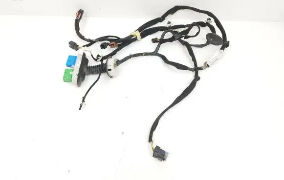 Citroen DS5 Front door wiring loom 9801371680 007406 55VYDA004