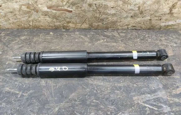 Dacia Sandero Rear shock absorber/damper 562104981R