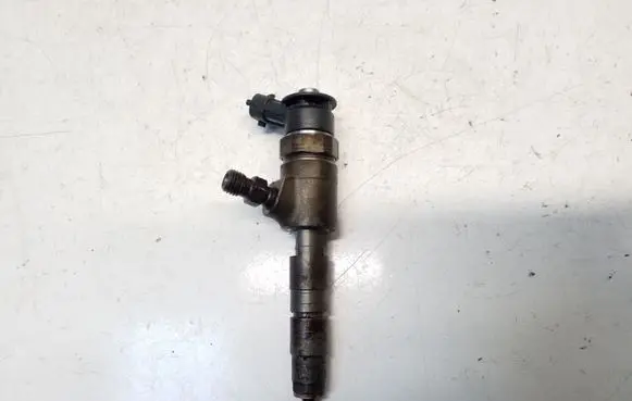 Citroen C4 II Fuel injector 0445110340