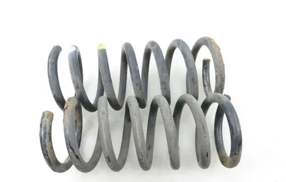 Chevrolet Captiva Rear coil spring 